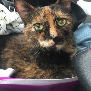 Meet your Posher, Alexis